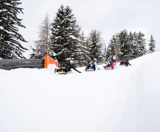 Eine Gruppe von Personen beim Rodeln