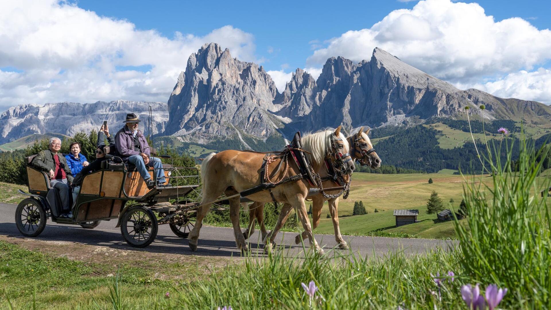 Eine Gruppe von Personen fährt mit der Pferdekutsche einen Weg auf der Seiser Alm entlang