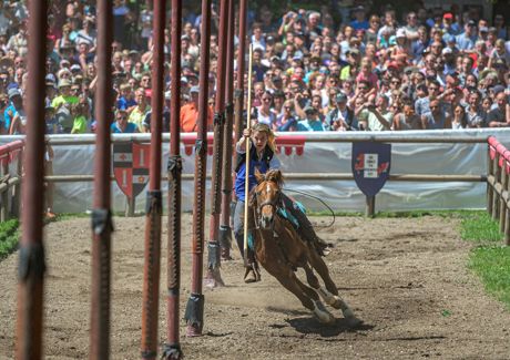 key-visual-seiesr-alm-marketing-armin-mayr-9