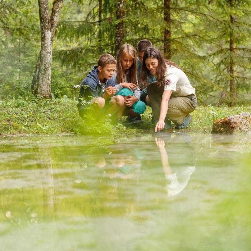 I bambini esplorano la natura