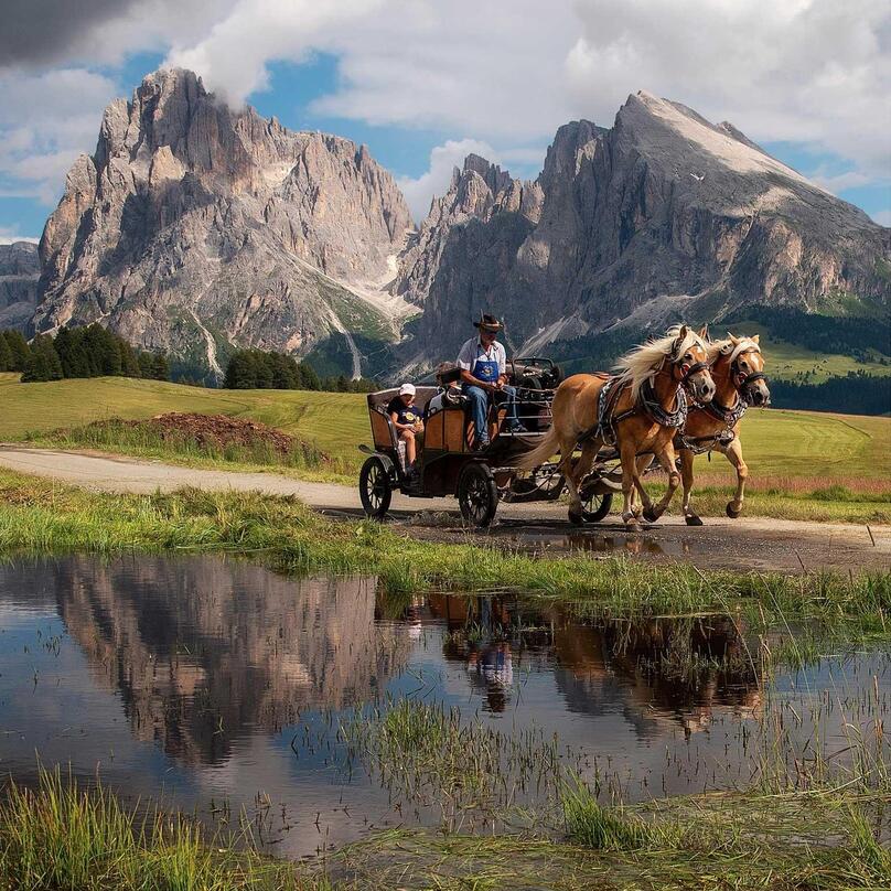 Eine Familie fährt mit der Pferdekutsche einen Weg auf der Seiser Alm entlang