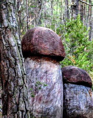 seiser-alm-marketing-helmuth-rier-2