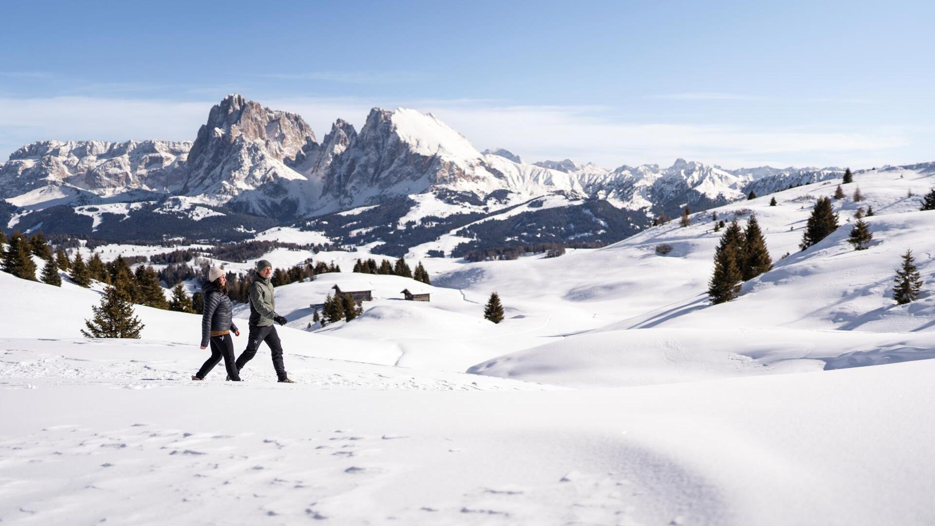 090-winterwandern-roschan-fill-20260215