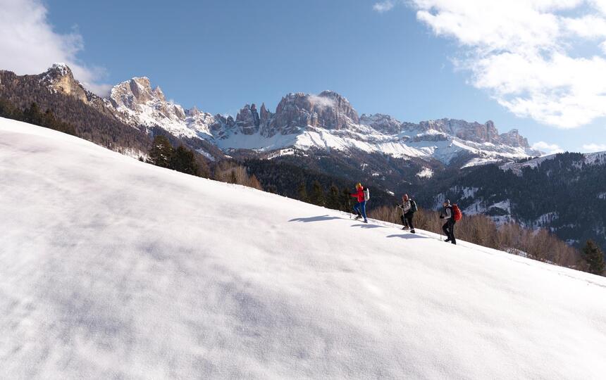 Eine Gruppe von Personen beim Schneeschuhwandern