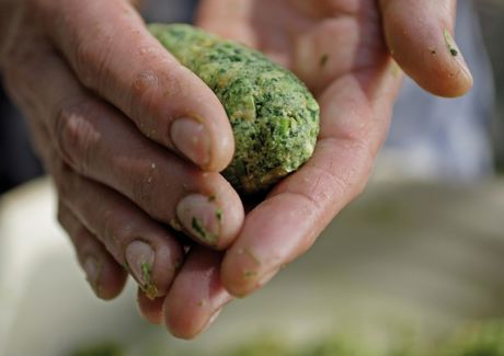 idm-suedtirol-alto-adigefrieder-blickle-quer