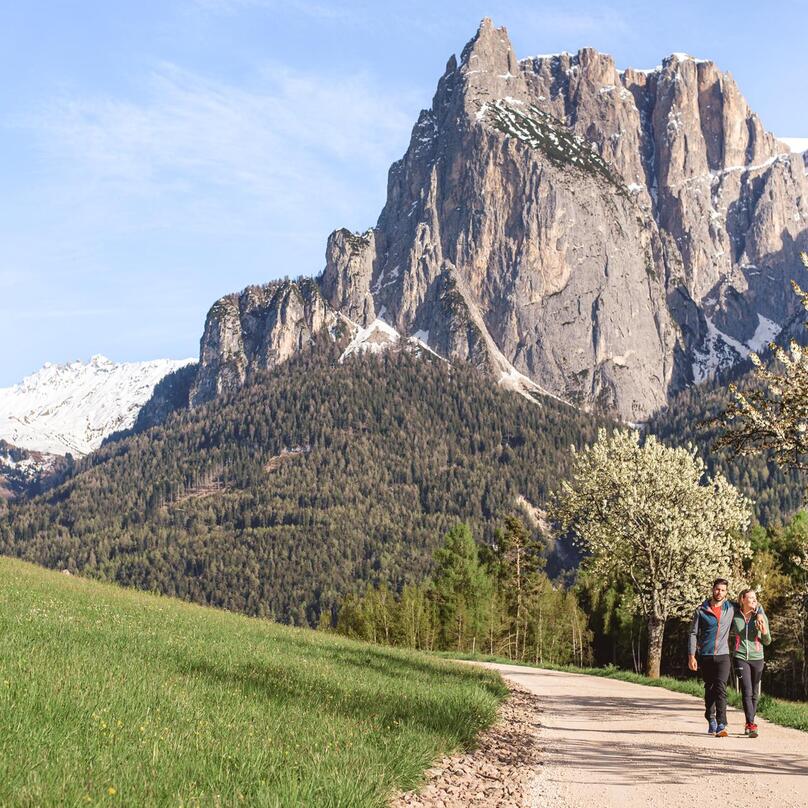 Ein Mann und eine Frau spazieren einen Weg entlang, im HIntergrund der Schlern