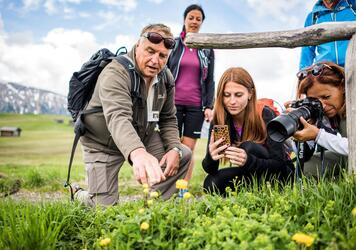 Un gruppo di persone fotografa fiori in un prato
