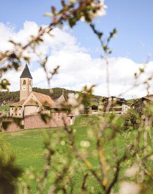 Blühende Wiese, im Hintergrund die Pfarrkirche von Seis am Schlern