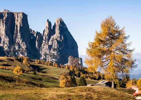Vista sullo Sciliar