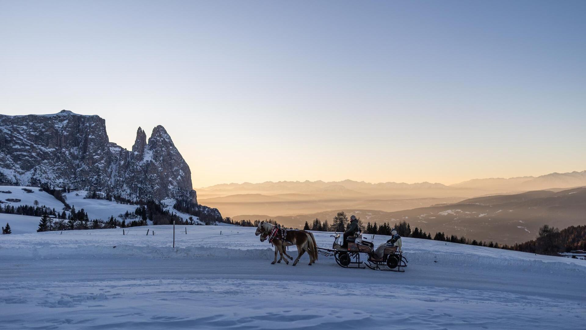 Eine Familie fährt mit der Pferdekutsche im Schnee auf der Seiser Alm entlang
