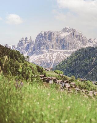 Tiers am Rosengarten