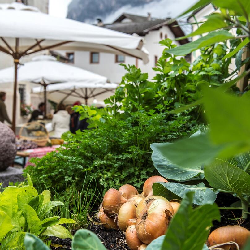 farmers’ market