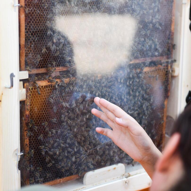 naturparkhaus-bienen-2022-26