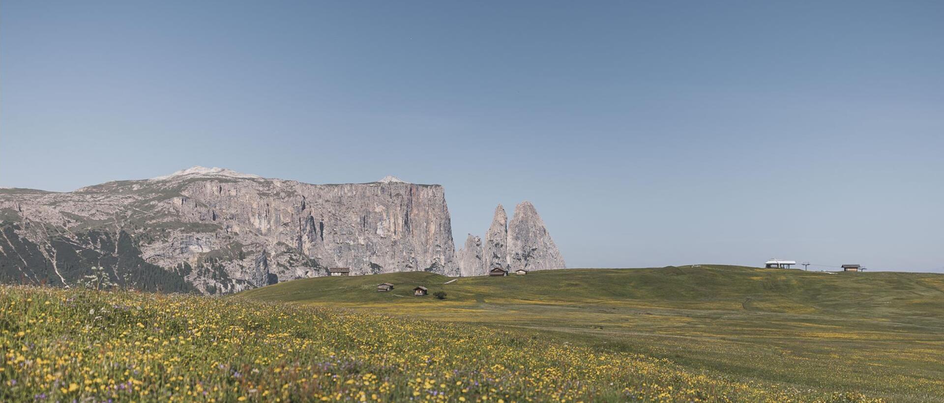 Prati in fiore sull’Alpe di Siusi in estate