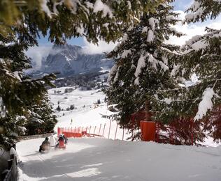 Eine Gruppe von Personen beim Rodeln