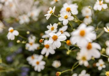 idm-suedtirol-alto-adige-mirko-strozzega-192