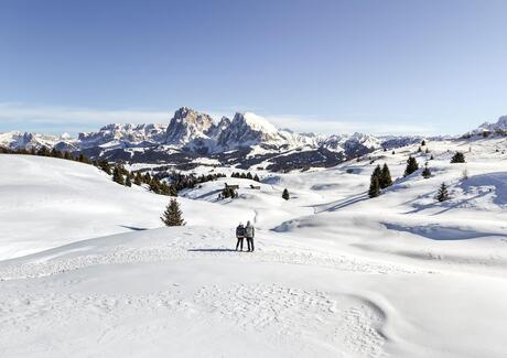 099-winterwandern-roschan-fill-20260215