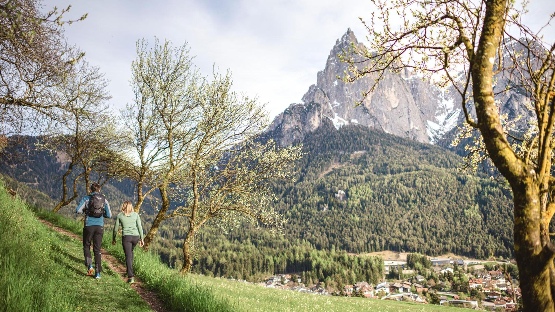 sam-fru-hlingsbilder-nachbearbeitet-roschanfill-62